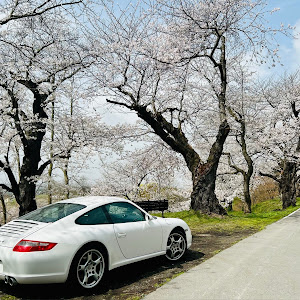 911 クーペ カレラ