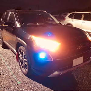 RAV4 MXAA54