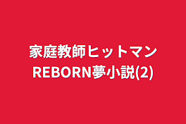 家庭教師ヒットマンREBORN夢小説(2)