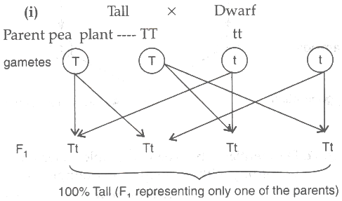 Solution Image