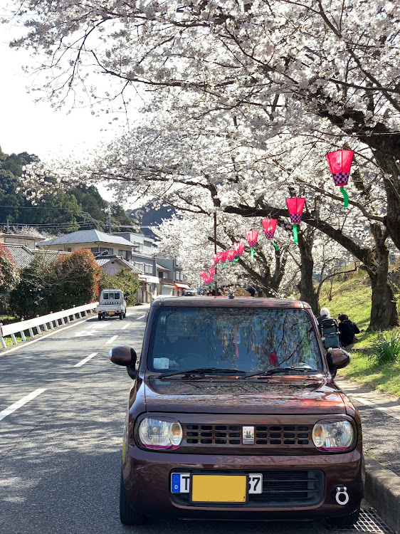 アルトラパンの桜と愛車・桜シーズン開幕・ラパン乗りと繋がりたいに関するカスタム事例の投稿画像3枚目