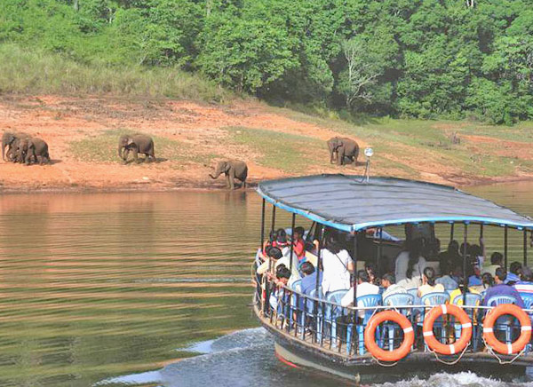 Periyar National Park, Kerela (Best Time to Explore Tiger Safari in India)