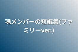 魂メンバーの短編集(ファミリーver.)