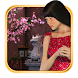 Hidden Object Japanese Dream