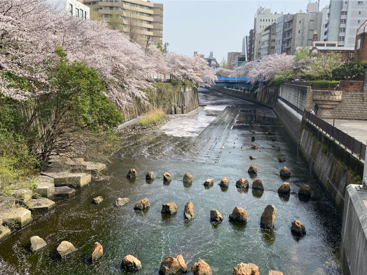 の投稿画像2枚目