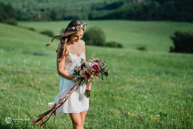 Wedding photographer Frantisek Petko (frantisekpetko). Photo of 6 September 2017