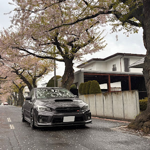 WRX STI VAB
