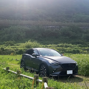 CX-3 DKEFW