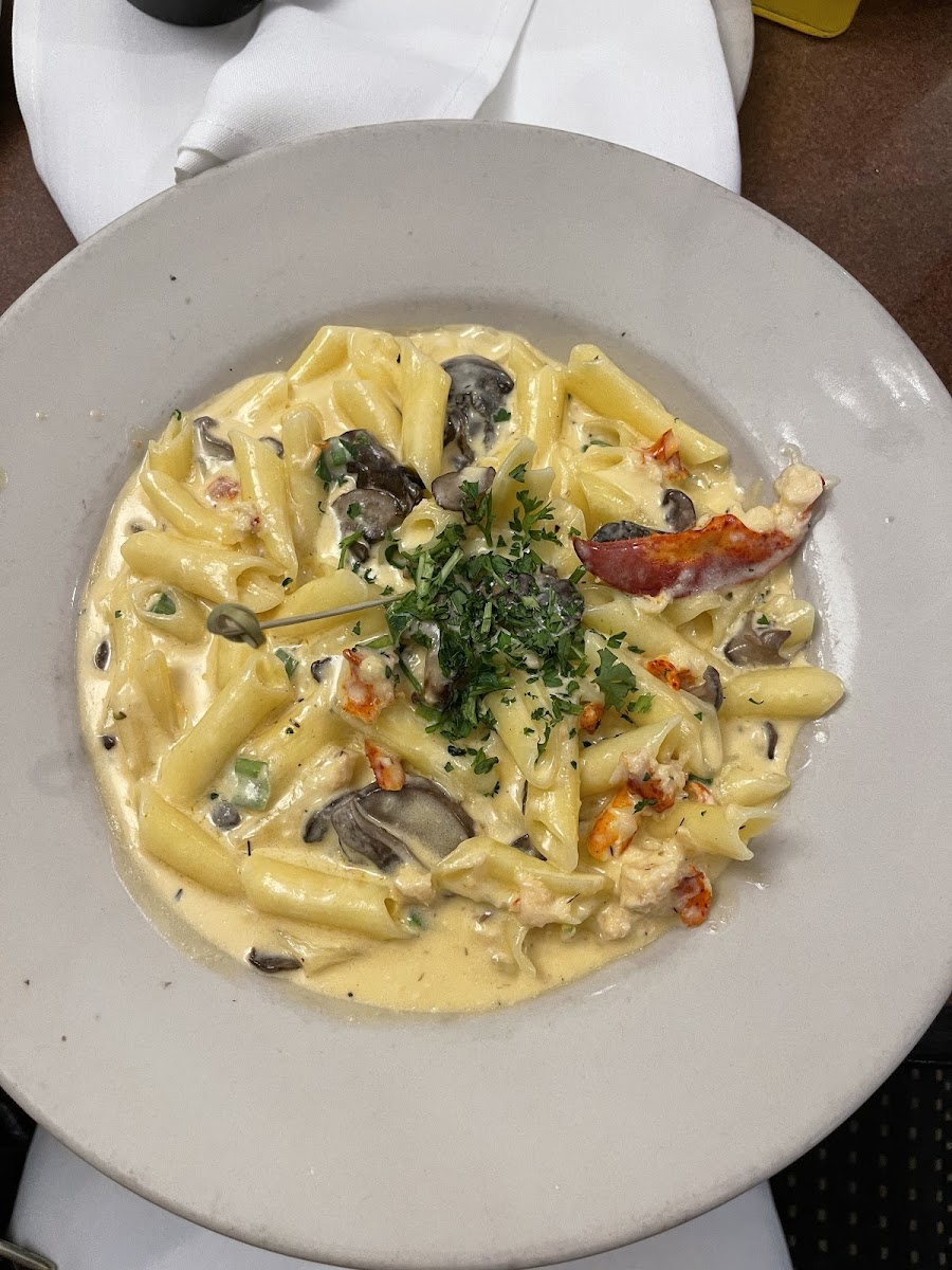 Fettuccine (GF penne) with Lobster, heaven on a plate!