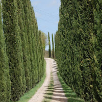 Strada Toscana di 