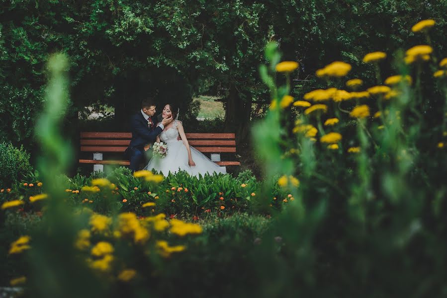 Wedding photographer Dmitriy Shpak (dimak). Photo of 21 August 2015