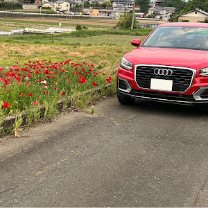 Q2 1.0 TFSI