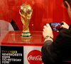 Quatre pays sud-américains vont déposer une candidature commune pour organiser la Coupe du Monde