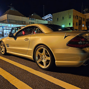 SL R230