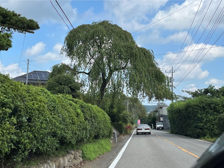 RX-7のS15シルビア・家族旅行 de 群馬・榛名朝練・妙義山・軽井沢に関するカスタム事例の投稿画像25枚目
