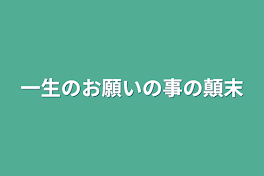 一生のお願いの事の顛末