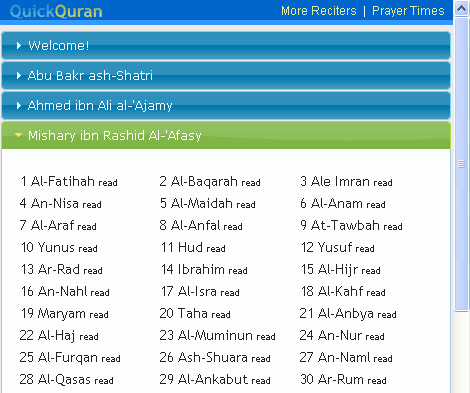 QuickQuran Preview image 2