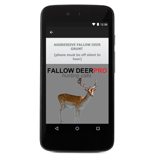 Fallow Deer Calls for Hunting