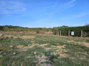 terrain à Eaunes (31)