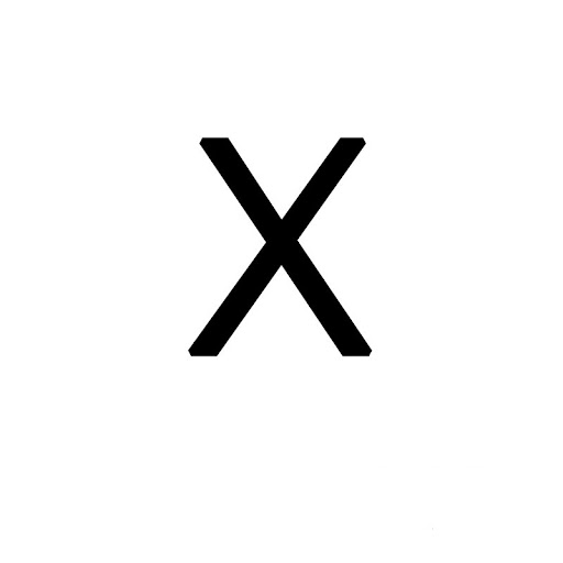 ZM X1