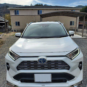 RAV4 ACA36W