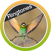 Birds Ringtones Free 2018  Icon