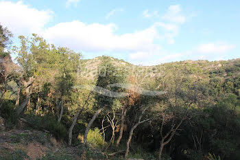 terrain à batir à Grimaud (83)