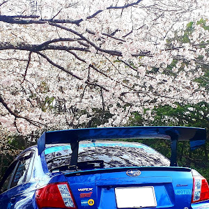 インプレッサ WRX STI