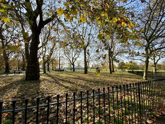 Autumn in the park di emidesa