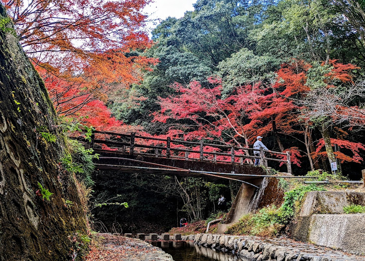 の投稿画像5枚目