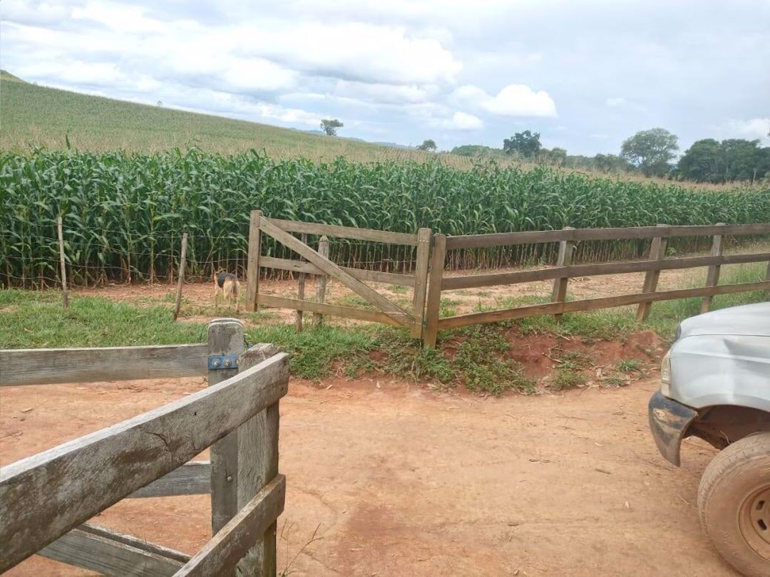 Fazendas à venda Centro