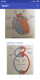 cardiovascular system(圖1)-速報App