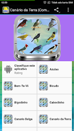 Chanchão Só Canto poster 5