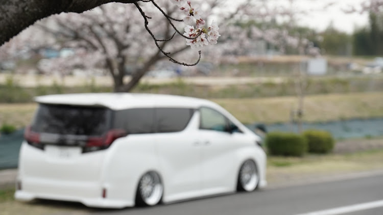 アルファードの30前期頑張ろう・桜とコラボ🌸・いつもの方とコラボ・discover＿ct・1089factoryに関するカスタム事例の投稿画像5枚目