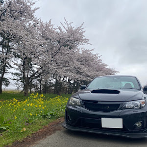 インプレッサ WRX STI GVF