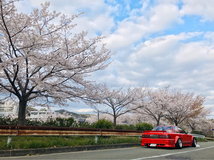 の投稿画像2枚目