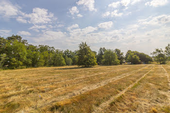 terrain à La Ferté-Imbault (41)