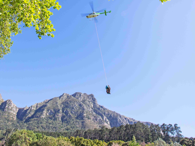 Helihackers preparing to remove invasive alien trees on Table Mountain, which suck up precious fresh water and fuel wildfires.