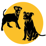 Cover Image of Baixar Dog Training! exercises, tricks and information 1.1 APK