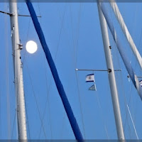 La luna tra gli alberi di 