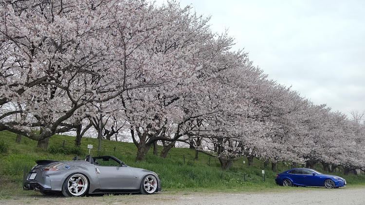 フェアレディZの桜とコラボ・桜と愛車に関するカスタム事例の投稿画像3枚目