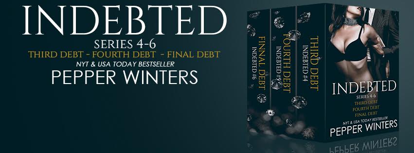 indebted bundle banner 4-6.jpg