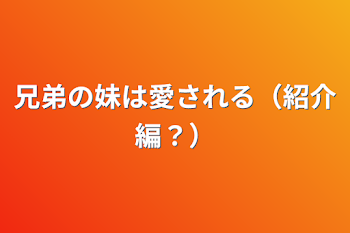 兄弟の妹は愛される（紹介編？）