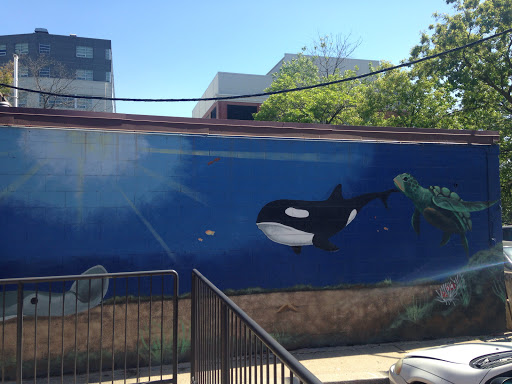 Turtle Whale Mural