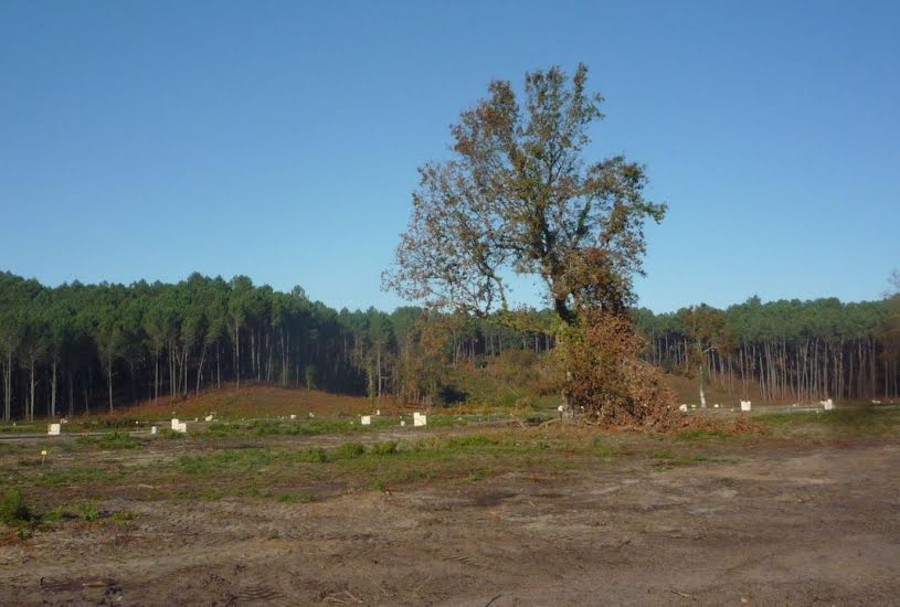  Vente Terrain à bâtir - à Vielle-Saint-Girons (40560) 