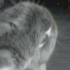 ユーザー