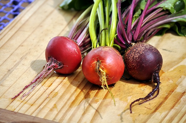 Chioggia, Golden Globe and Bulls Blood.