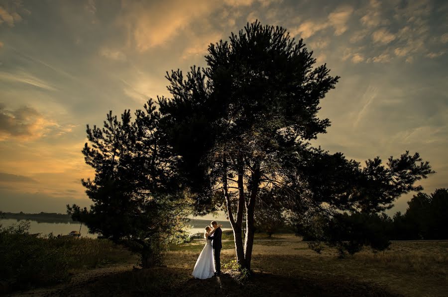 Fotografo di matrimoni Krzysztof Krawczyk (krzysztofkrawczy). Foto del 5 ottobre 2015