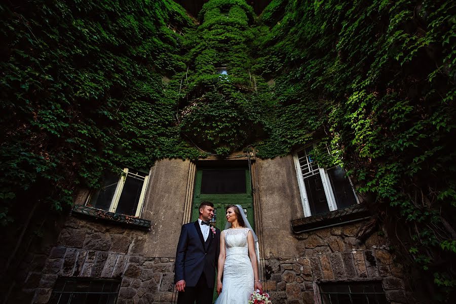 Fotógrafo de casamento Claudiu Negrea (claudiunegrea). Foto de 30 de junho 2016