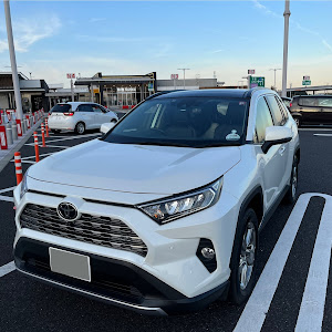 RAV4 MXAA54